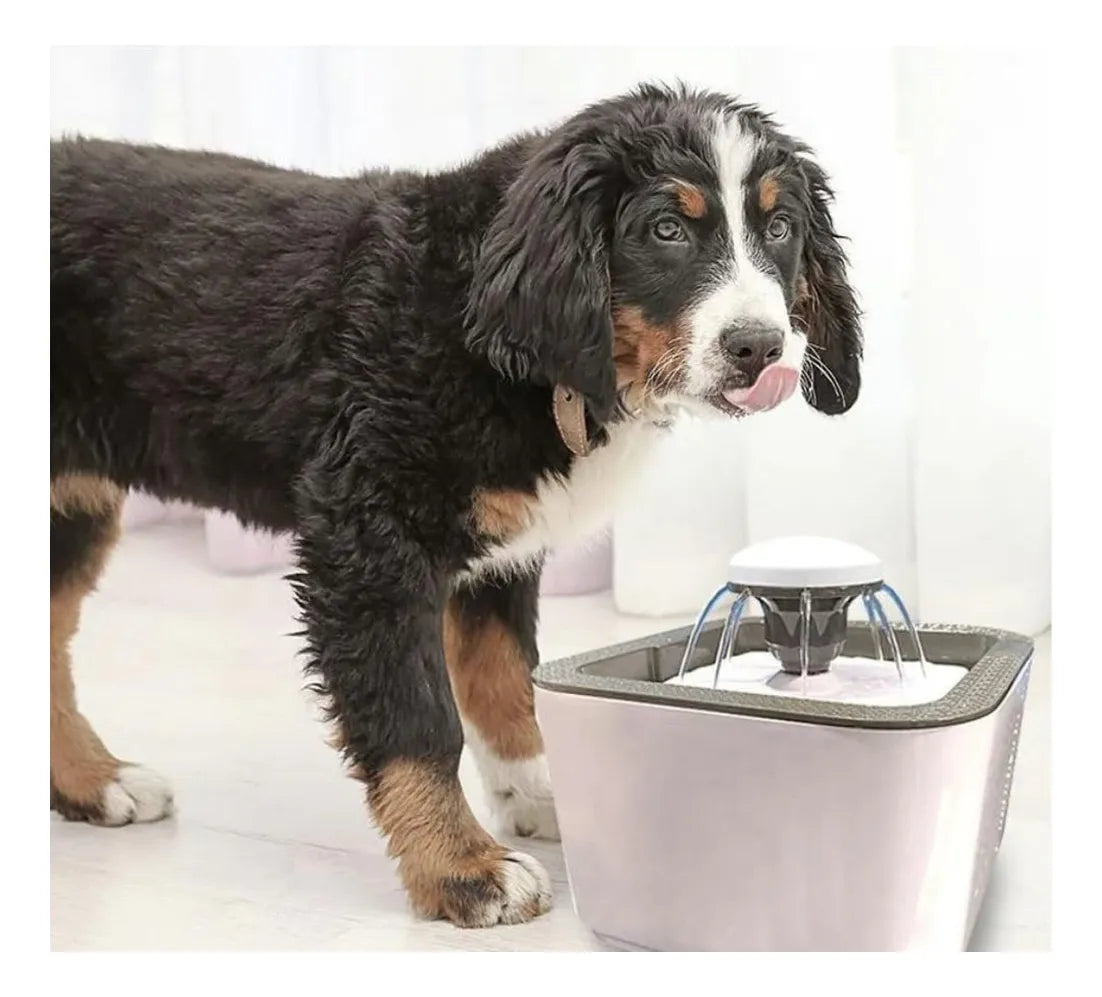 Bebedero Fuente de Agua Mascota