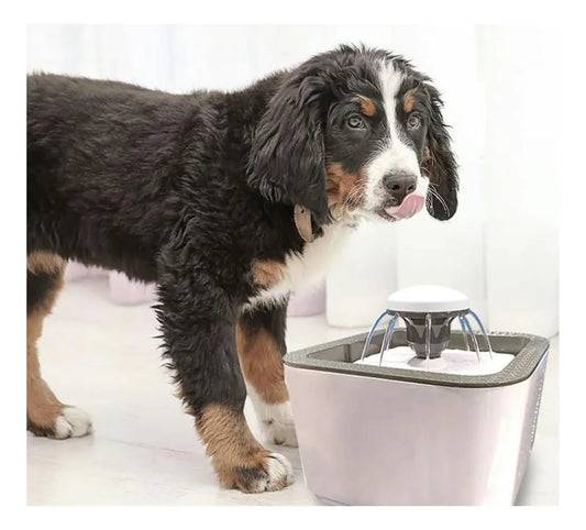 Bebedero Fuente de Agua Mascota